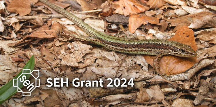 SEH Grant 2024