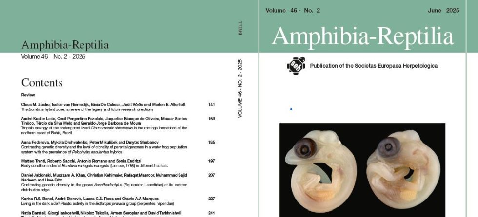Amphibia Sp AMPHIBIA-REPTILIA | Societas Europaea Herpetologica