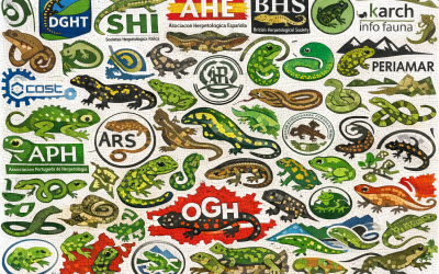 The European Board of Herpetological Societies (EBHS): Strengthening Herpetology Across Europe