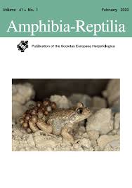 AMPHIBIA-REPTILIA