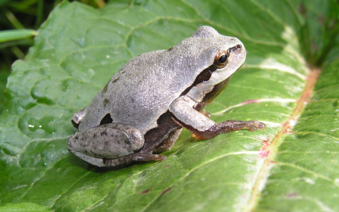 Website Back Online – Our Sincere Apologies