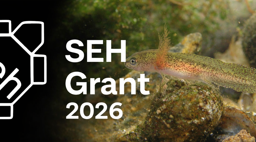 SEH Grant 2026