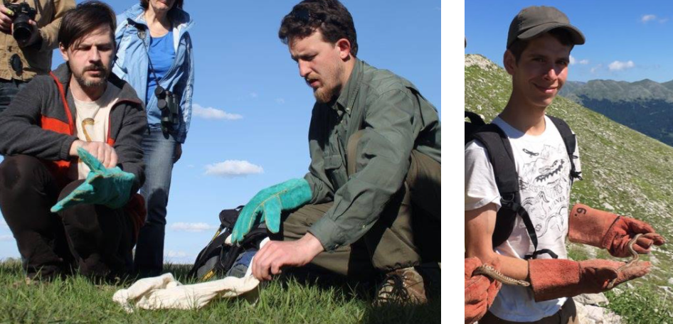 Oleksandr Zinenko, Edvárd Mizsei, and Andrii Tupikov